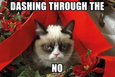 Grumpy cat saying "dasing through the no"
