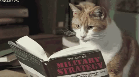 cat reading a book on military strategy