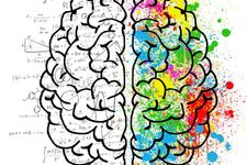 Left brain vs right brain