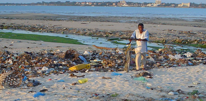 ocean waste on shore