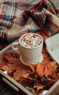 The perks of autumn, beautiful coloured leaves, hot choc with marshmallows and scarves.