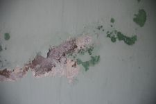 A mould damaged wall with the paint peeling