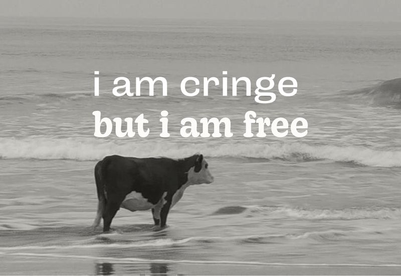 Cow looking into sea with text: "i am cringe, but i am free"