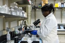 Female scientist creating samples to be tested