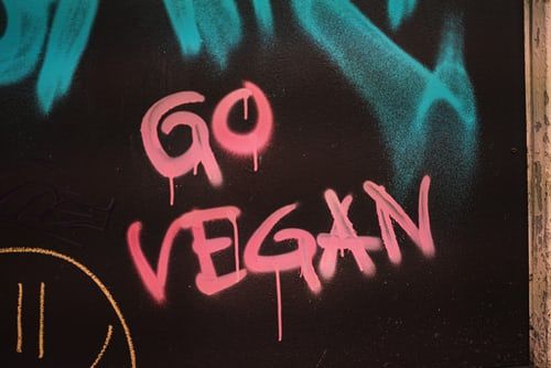 Spray painted "go vegan"
