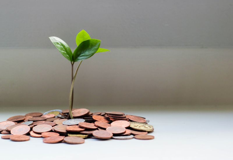 A plant growing out of a pile of coins
